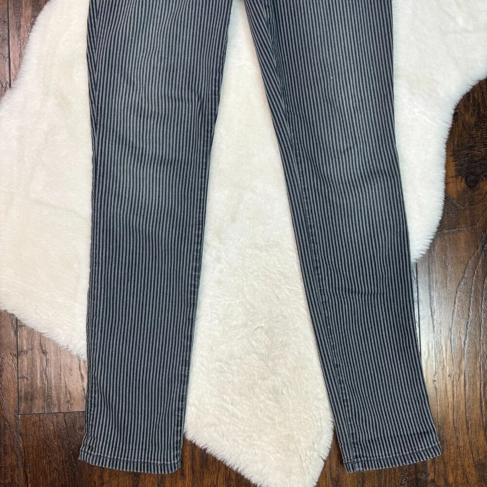 Level 99 Liza Skinny Jeans‎ 30 Striped Blue Gray Mid-Rise Stretch Women's